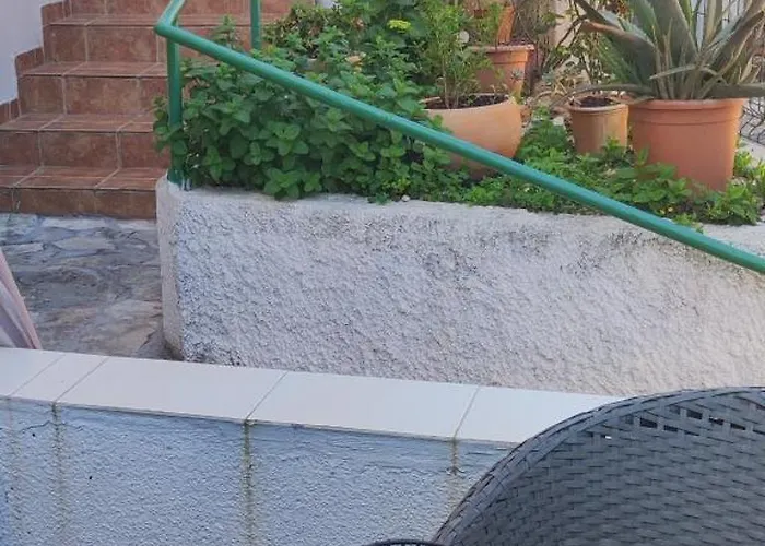 Campo * שיבניק